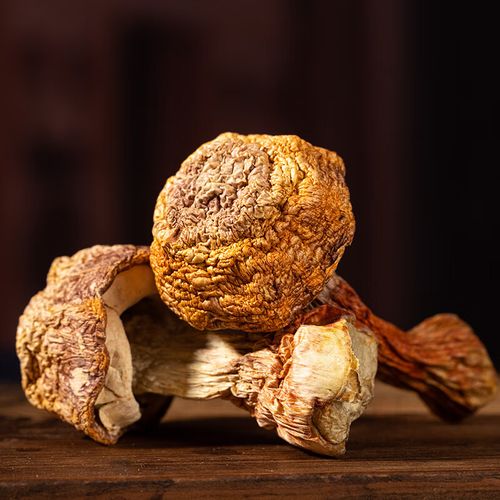 禾澹姬松茸干货云南特产姬松茸巴西菌菇汤料包煲汤食材无硫非