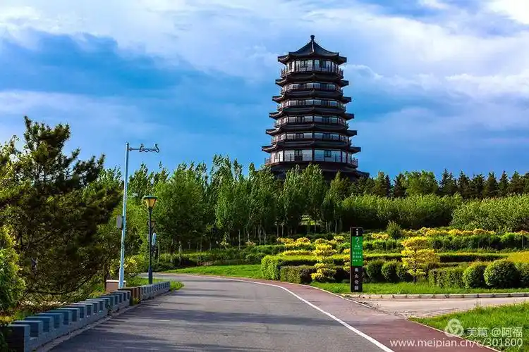 南山公园好风光