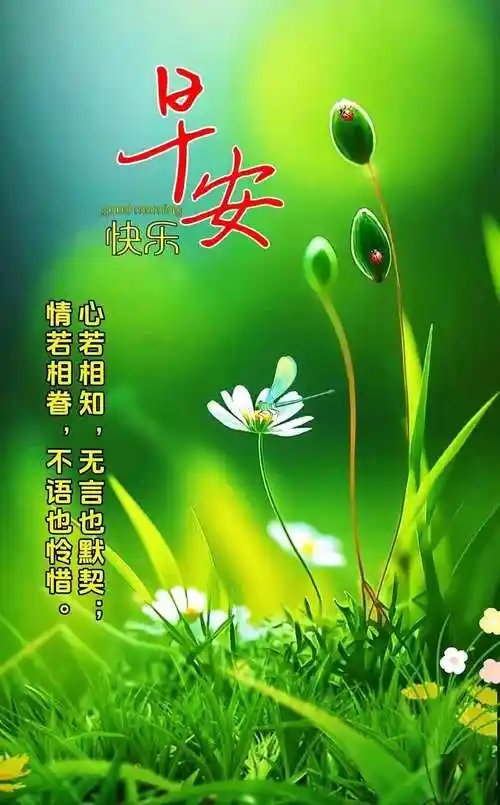 最新早上好祝福语图片大全 今日精选早安问候祝福图片带字