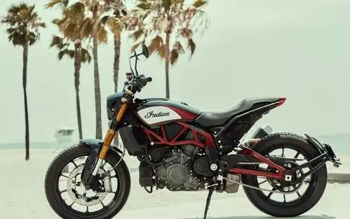 印第安ftr 1200复古拉力版上市,约20万,比基本版贵1万左右!
