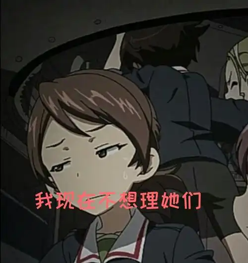 少女与战车表情包28th