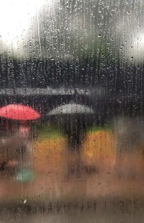 【合诵】我在风雨中等你