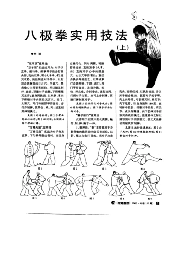 八极拳实用技法