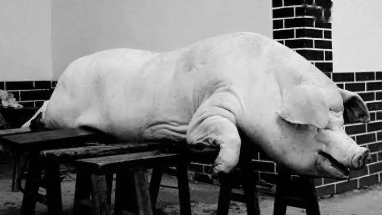 杀猪过年_妈妈_孩子_外婆