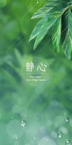 保持静心的态度上一图集:愿你平安喜乐下一图集:激励自己变瘦的背景图