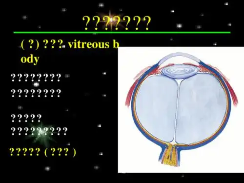 感觉器( sensory organs ): 感受器( receptor ):分布于人体各部 感受