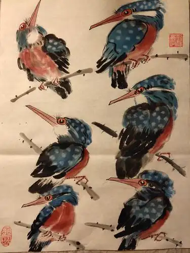 千姿百态的翠鸟