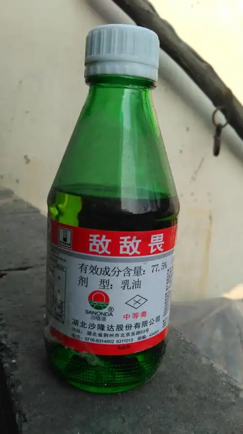 漫山遍野——红彤彤的柿子树