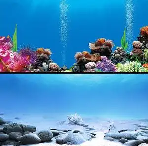 鱼缸背景纸壁画水族贴海底世界水草海景珊瑚立体高清