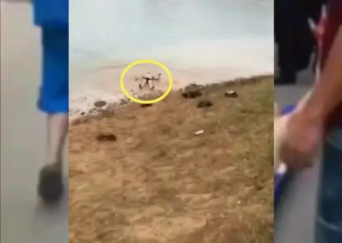 男子表演高台冲刺跳水失败摔在硬土地上,四肢血肉模糊,不作不死_水面