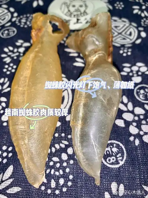 科普7215分清越南蜘蛛胶等蜘蛛胶"替身"91 越南蜘蛛胶是真的