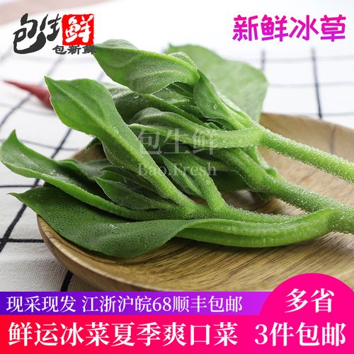 冰菜新鲜400g/份水晶冰草凉拌蔬菜送沙拉酱即食生吃沙拉食材