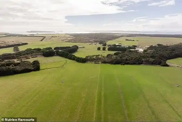 不是掏钱的那种…dick smith公开表态,希望woolnorth留在澳大利亚手中