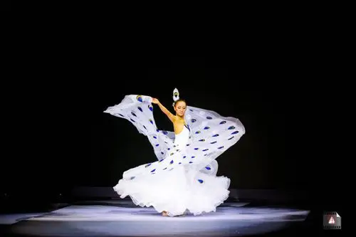 少数民族白色 孔雀舞蹈演出服女装大摆裙傣族舞台表演服2017新款