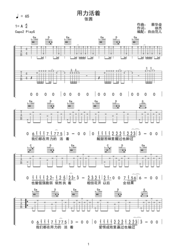 张茜用力活着吉他谱