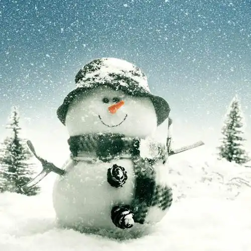 雪人爱下雪天_好看的微信头像图片_扣扣居