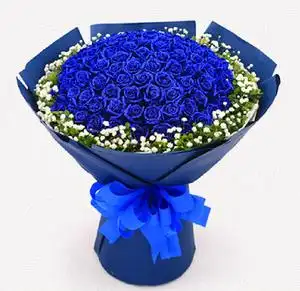 蓝色玫瑰花鲜花蓝色妖姬图片
