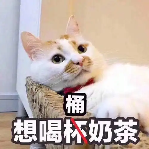 想喝桶奶茶喝桶奶茶表情