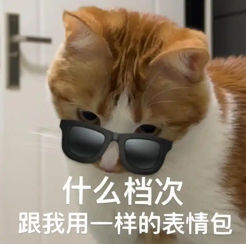 什么档次跟我用一样的表情包 沙雕小猫的表情永远如此丰富
