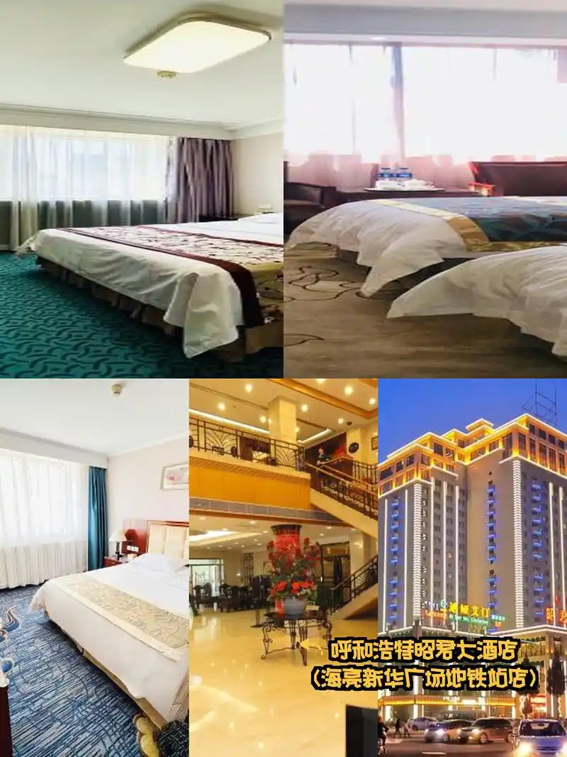 6分】 参考价:东楼单人间|220元起 位置:内蒙古自治区赛罕区昭乌达路