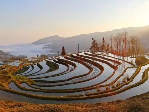 美如织绵的元阳坝达梯田