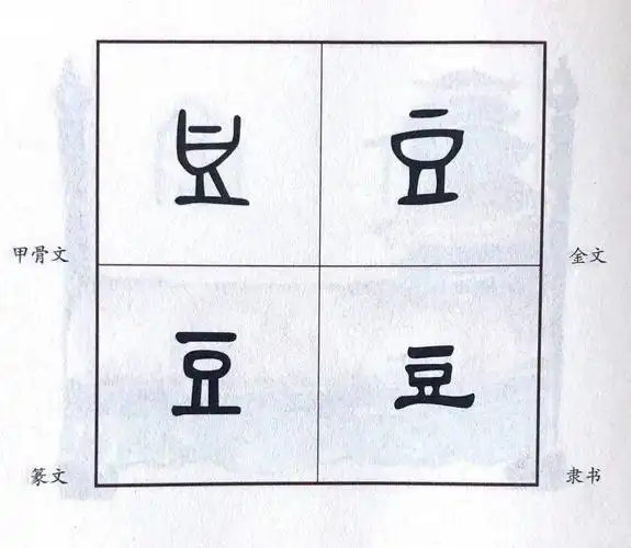 汉字娃娃图图姐姐带你了解汉字那些事儿瓜豆