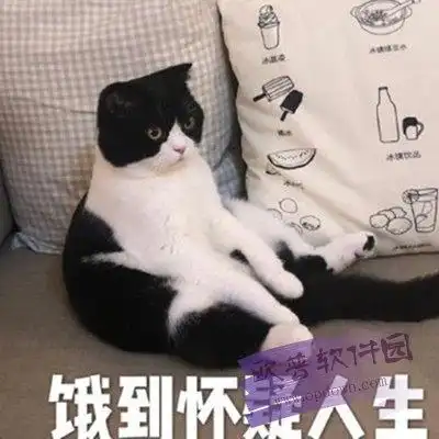恶龙咆哮猫咪表情包 免费版