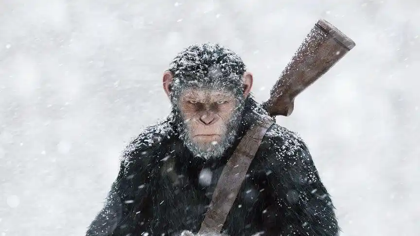 《猩球崛起3》上映前,3分钟看凯撒成长史,了解人猿大战始末