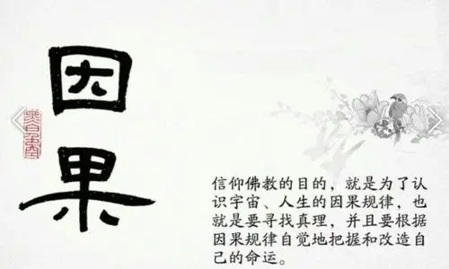 第44篇《因果法则》