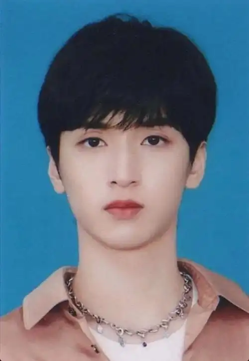 tnt时代少年团证件照 照片 无水印 - 知乎