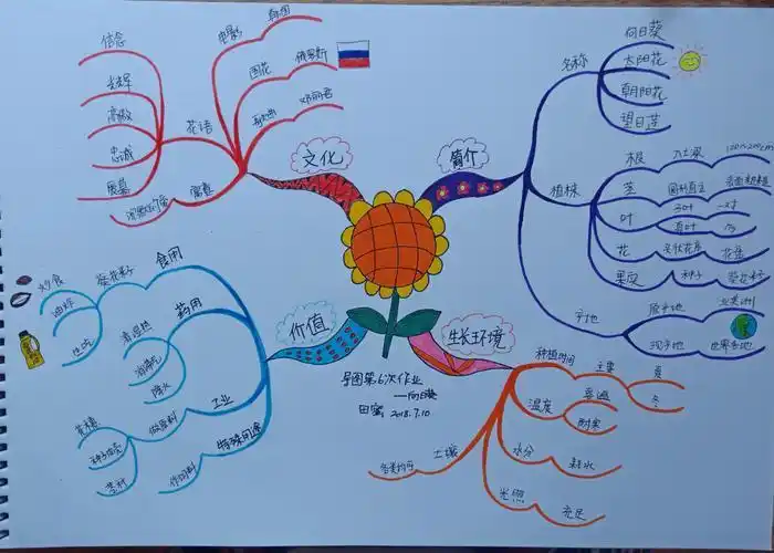 漂亮精致的思维导图 漂亮精致的思维导图模板