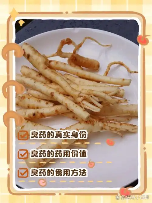 今天,就让我们一起揭开臭药的神秘面纱吧! 🔍臭