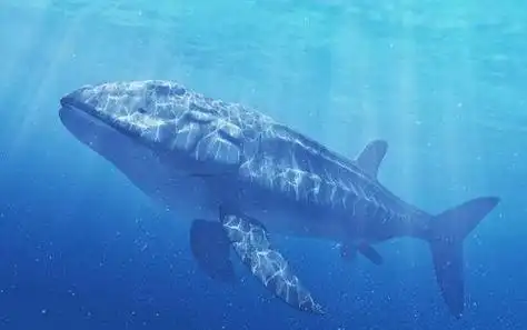 方舟:生存进化利兹鱼在哪出现 方舟手机版怎么刮利兹鱼