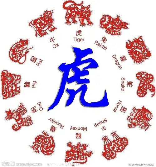 生肖运势的2014属猪运程