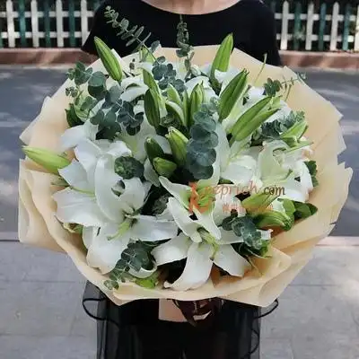 6支多头白百合花束,6支多头白百合花束好不好,6支多头白百合花束图片