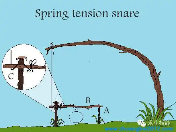 教我们制作简易陷阱,捕捉小动物