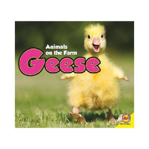 【预订】geese 9781621272359