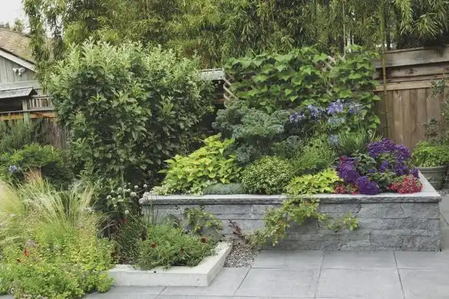 小型花园的4个设计案例,附花园设计图和设计说明|月季|小花园|花坛