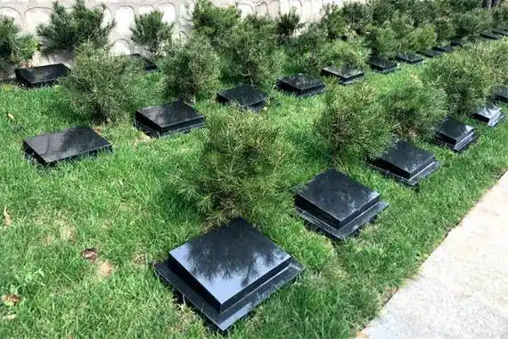 是北京较大的现代墓地之一.