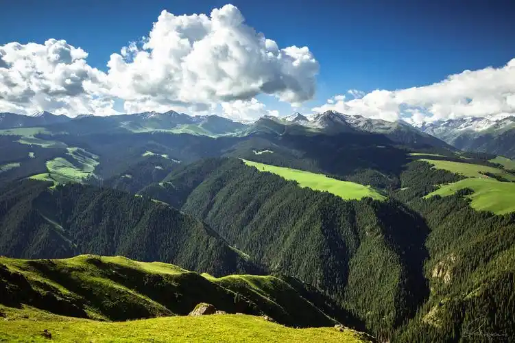 天山草原之王【喀拉峻草原】,最佳游玩季节及自然人文景点推荐