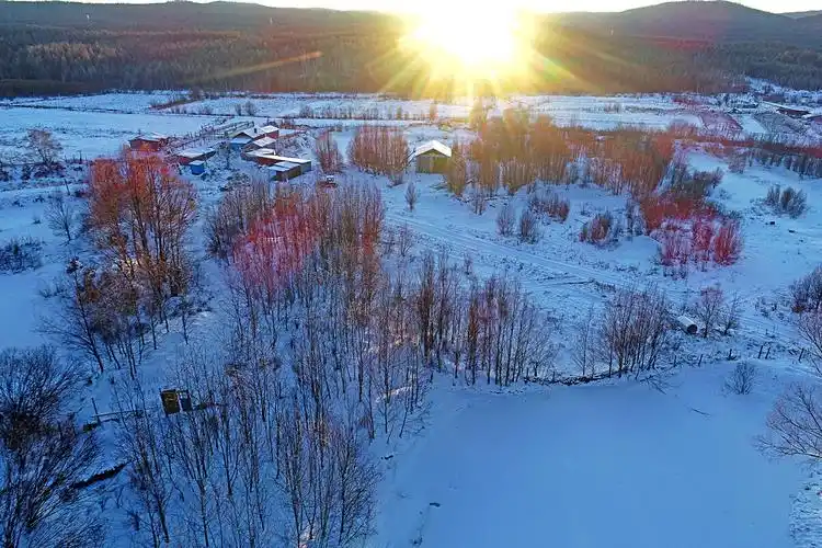大兴安岭冬季森林雪景