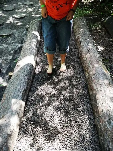 2019年暑假卡内基研学活动总结7