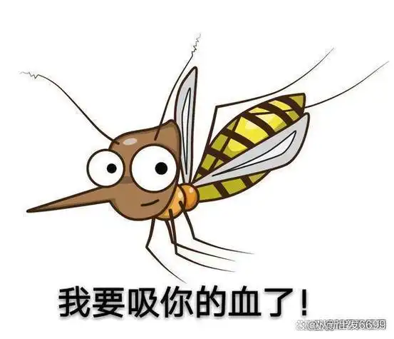 1个"土"招,"整夜开窗"也不