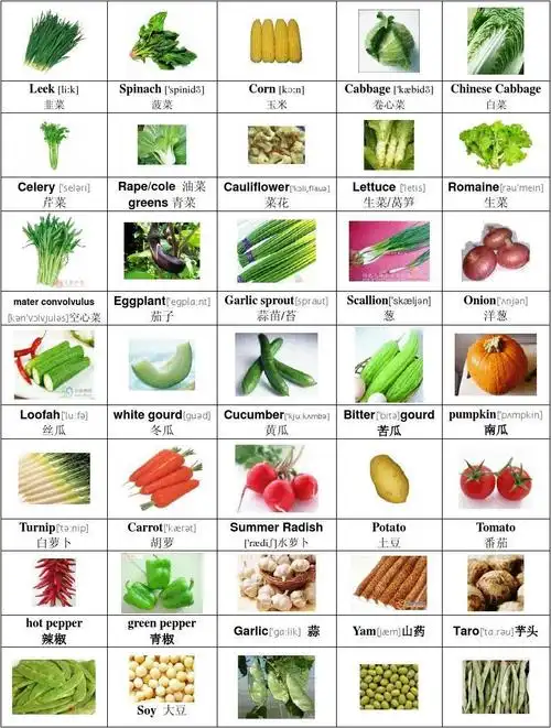 常用水果 蔬菜农作物 英文单词 常用水果 蔬菜农作物 英文单词_英语
