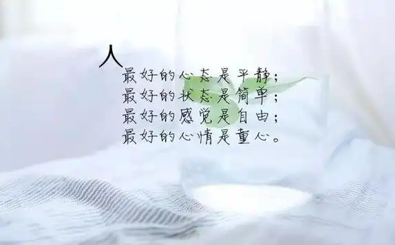 情感语录感悟人生短句(情感语录大全 人生感悟) - 唯美句子 - 经典好