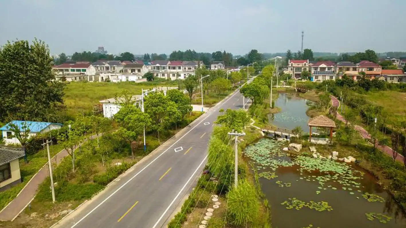江都区仙女镇花木大道.资料图片