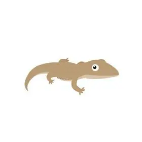 可爱卡通壁虎动图gif