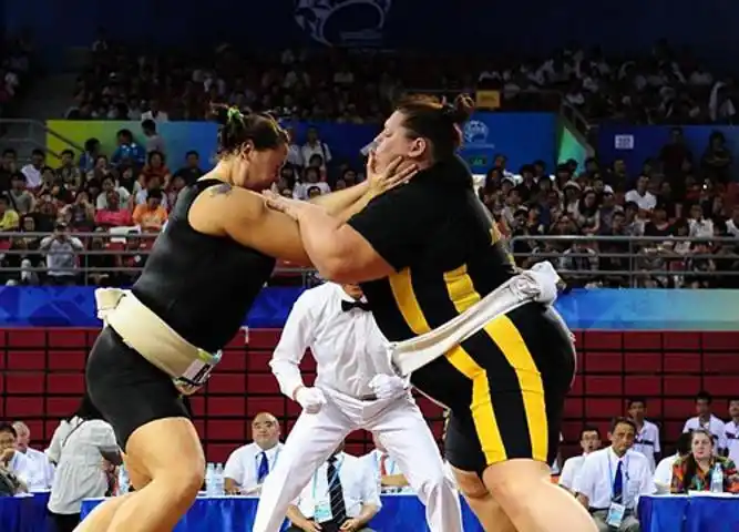 由于相扑比赛是日本闻名的赛种,所以每年的情形都是空前盛大.