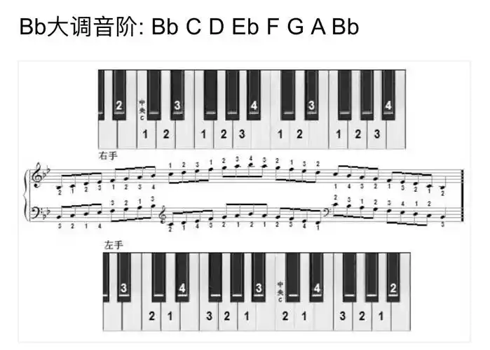 十二大调音阶指法