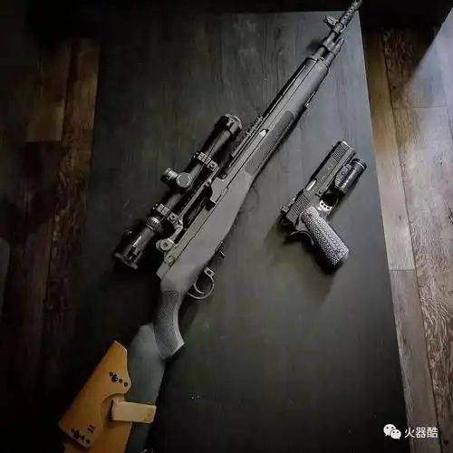 逍遥最喜欢的步枪m14m1a步枪美图集